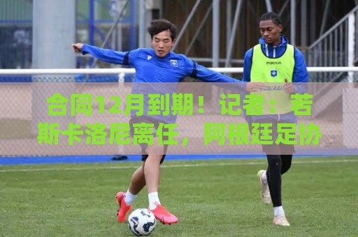 合同12月到期!记者:若斯卡洛尼离任,阿根廷足协梦想任命西蒙尼 合同12月到期!记者:若斯卡洛尼离任,阿根廷足协梦想任命西蒙尼