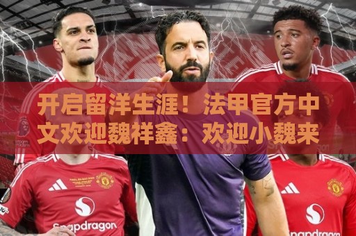 开启留洋生涯!法甲官方中文欢迎魏祥鑫:欢迎小魏来到法甲! 开启留洋生涯!法甲官方中文欢迎魏祥鑫:欢迎小魏来到法甲!