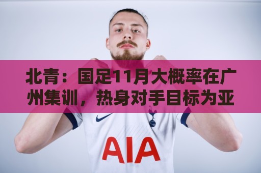 北青：国足11月大概率在广州集训，热身对手目标为亚洲杯参赛球队
