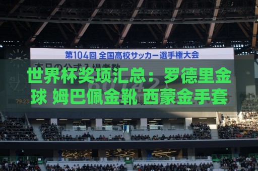 世界杯奖项汇总:罗德里金球 姆巴佩金靴 西蒙金手套 库巴西新秀 世界杯奖项汇总:罗德里金球 姆巴佩金靴 西蒙金手套 库巴西新秀