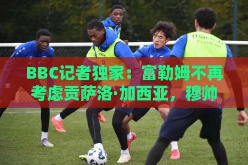 BBC记者独家：富勒姆不再考虑贡萨洛·加西亚，穆帅希望其留队