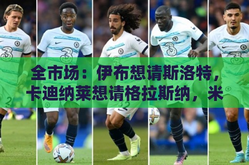 全市场：伊布想请斯洛特，卡迪纳莱想请格拉斯纳，米兰选帅陷僵局