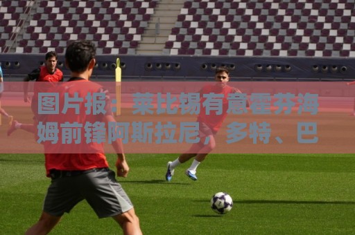 图片报：莱比锡有意霍芬海姆前锋阿斯拉尼，多特、巴萨也关注球员