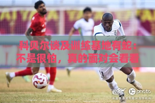 科贝尔谈及训练基地有蛇:不是很怕,真的面对会看看我有什么反应 科贝尔谈及训练基地有蛇:不是很怕,真的面对会看看我有什么反应