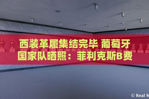 西装革履集结完毕 葡萄牙国家队晒照：菲利克斯B费居中 C罗居后排