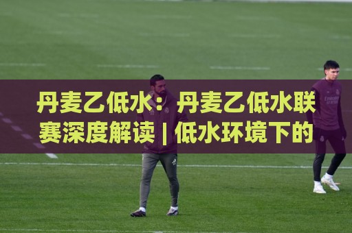丹麦乙低水:丹麦乙低水联赛深度解读 | 低水环境下的球队生态与观赛视角🧊今晚靠谱最火博球网解说让球盘高清技巧预选竞投 丹麦乙低水:丹麦乙低水联赛深度解读 | 低水环境下的球队生态与观赛视角🧊今晚靠谱最火博球网解说让球盘高清技巧预选竞投